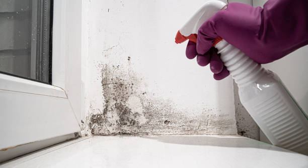 Trusted West York, PA Water damage restoration Experts